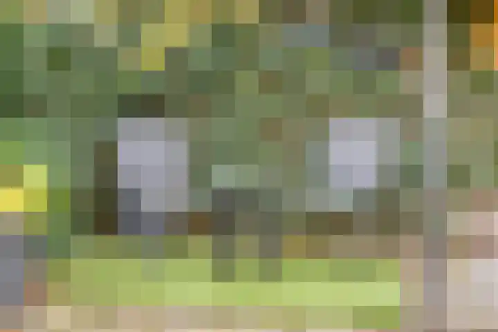 Woert 13 Haaksbergen thumbnail 25