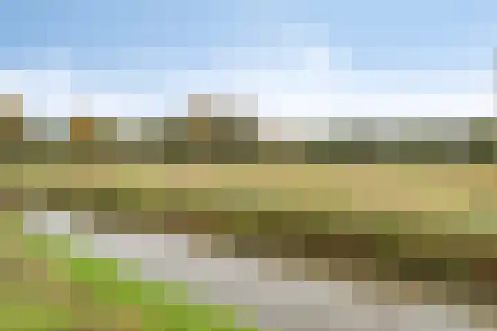 Woert 13 Haaksbergen thumbnail 27