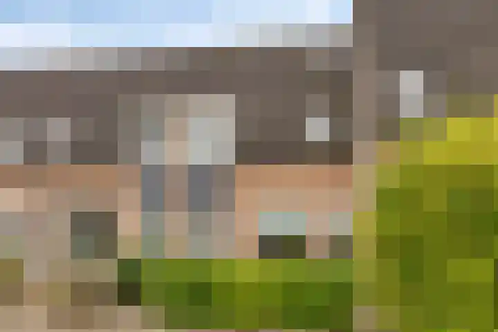 Woert 13 Haaksbergen thumbnail 6
