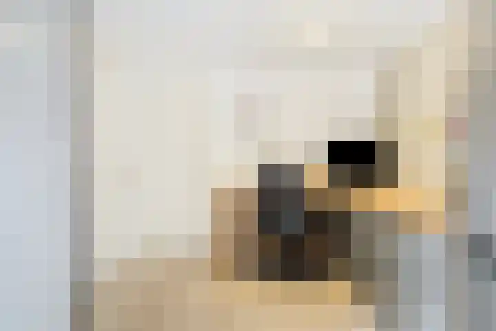 Woert 5 Haaksbergen thumbnail 15