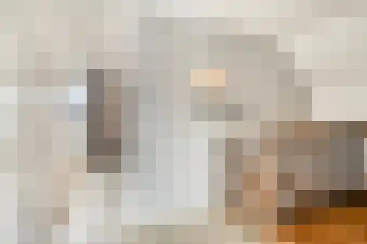 Woert 5 Haaksbergen thumbnail 19