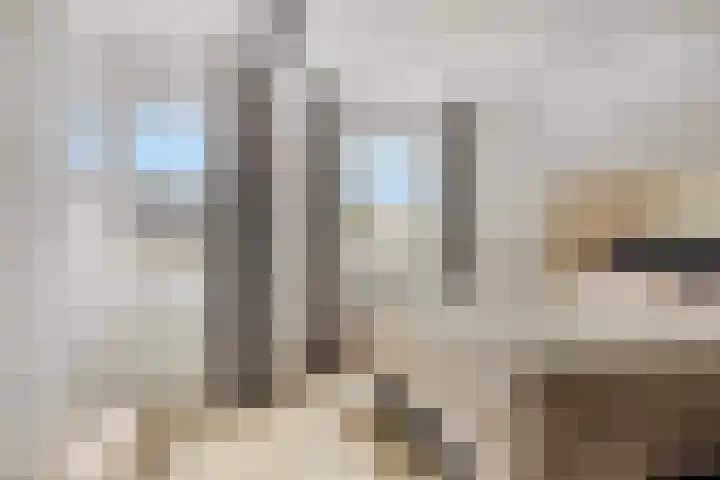 Woert 5 Haaksbergen thumbnail 20