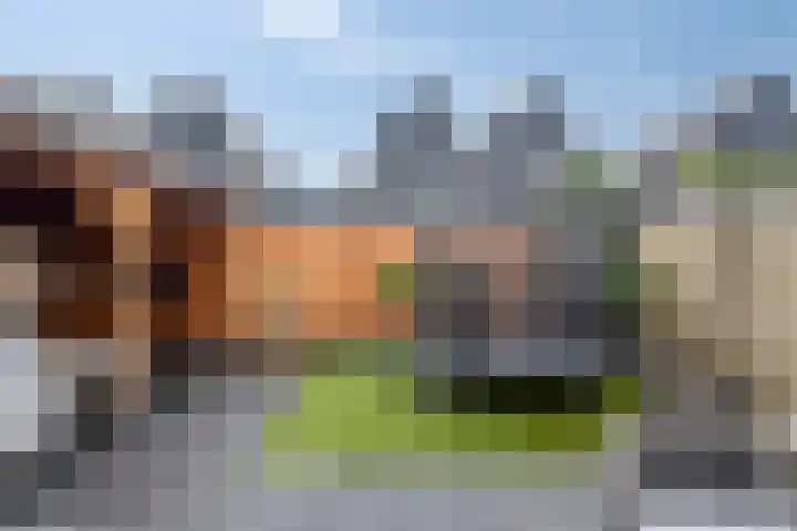 Woert 5 Haaksbergen thumbnail 30