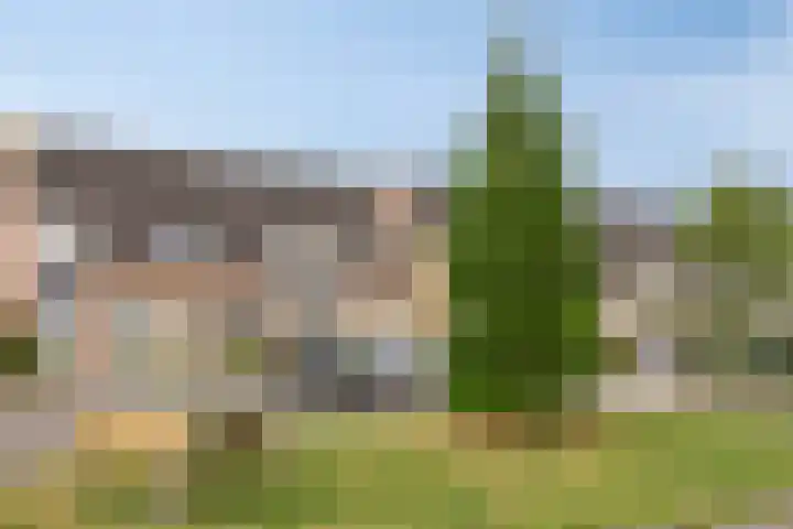 Woert 5 Haaksbergen thumbnail 34