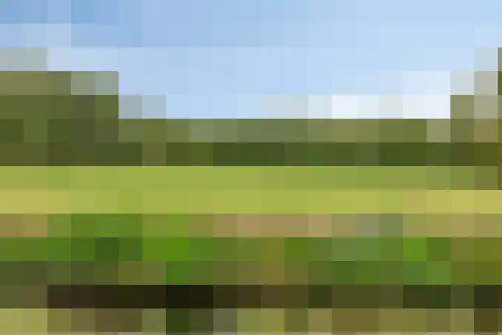 Woert 5 Haaksbergen thumbnail 35