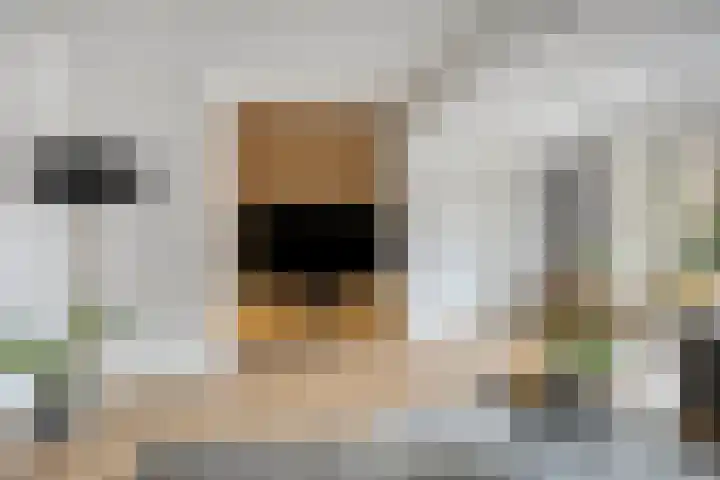 Woert 5 Haaksbergen thumbnail 6