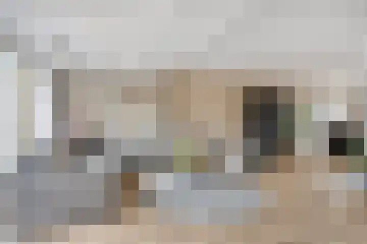 Woert 5 Haaksbergen thumbnail 7