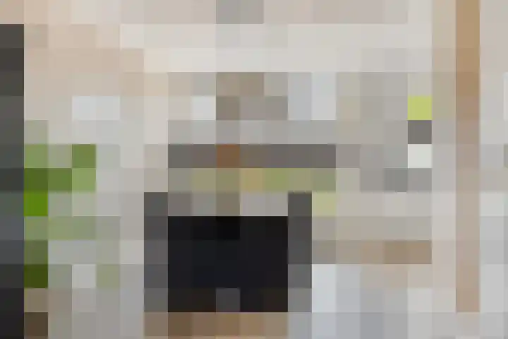 Woert 5 Haaksbergen thumbnail 9