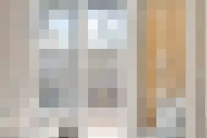 Woert 9 Haaksbergen thumbnail 10