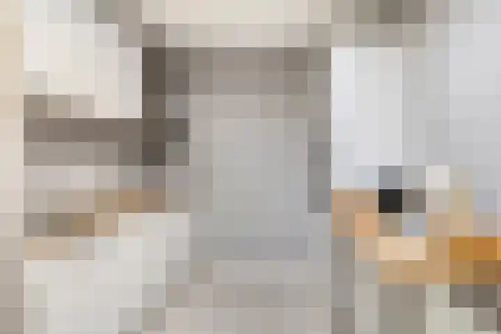 Woert 9 Haaksbergen thumbnail 11