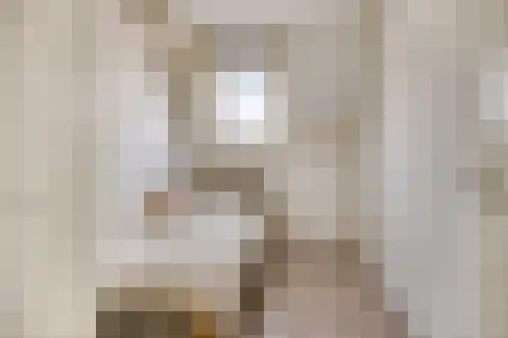 Woert 9 Haaksbergen thumbnail 22