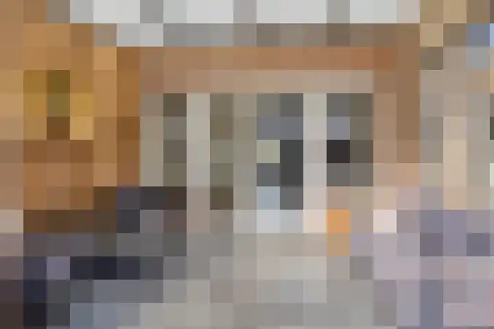 Woert 9 Haaksbergen thumbnail 26