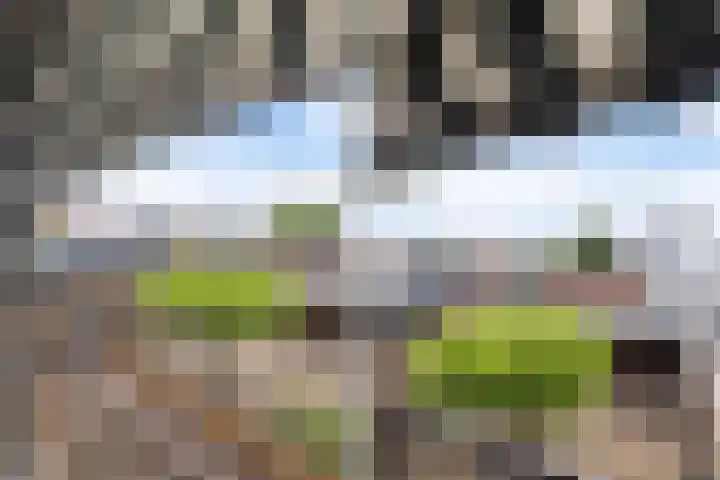 Woertheweg 5 Hellendoorn thumbnail 35