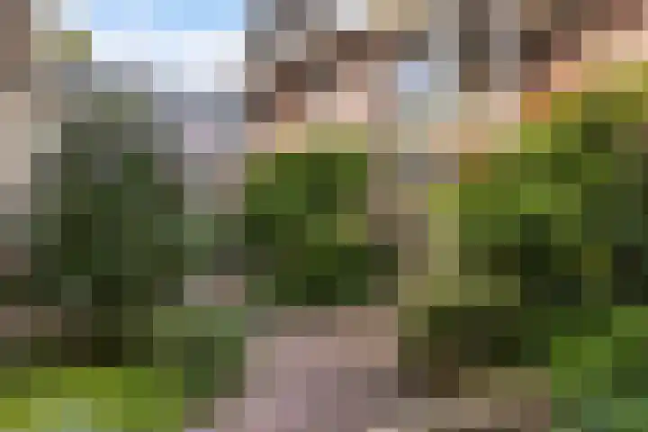 Woertheweg 5 Hellendoorn thumbnail 41