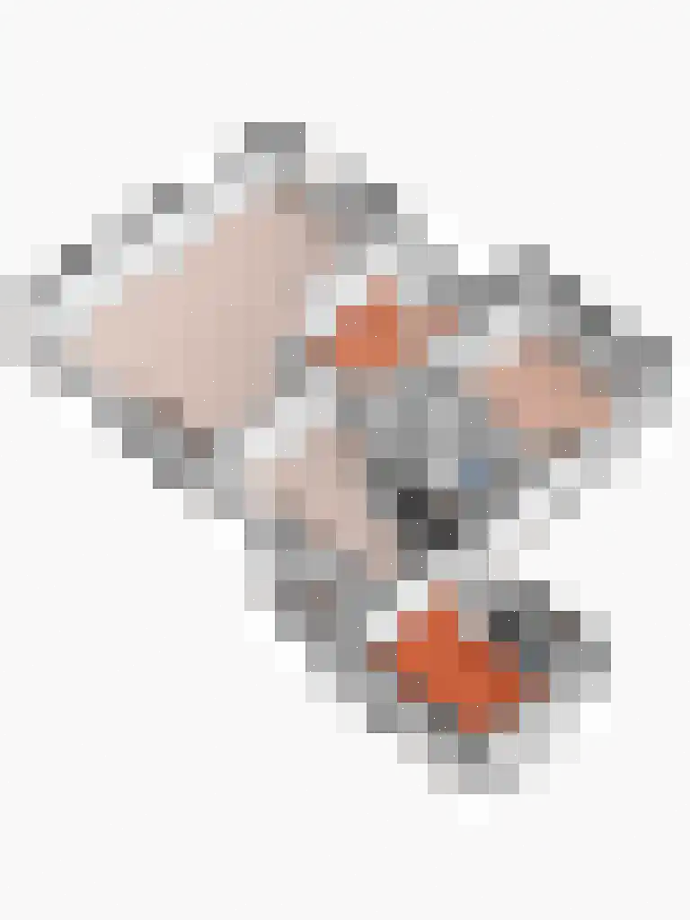 Woertmansweg 5 A Bathmen thumbnail 35