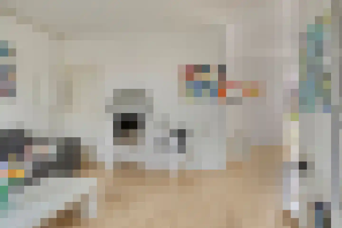 Woertmansweg 8 Bathmen thumbnail 10
