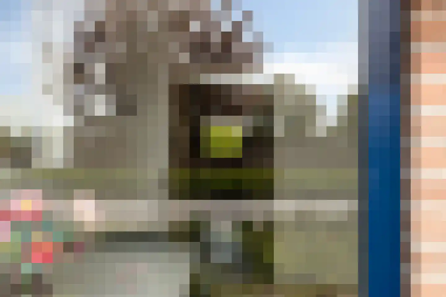 Woertmansweg 8 Bathmen thumbnail 13