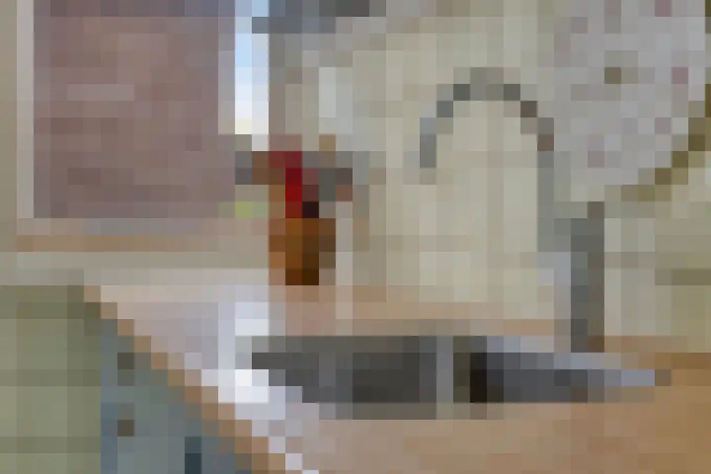Woertmansweg 8 Bathmen thumbnail 16