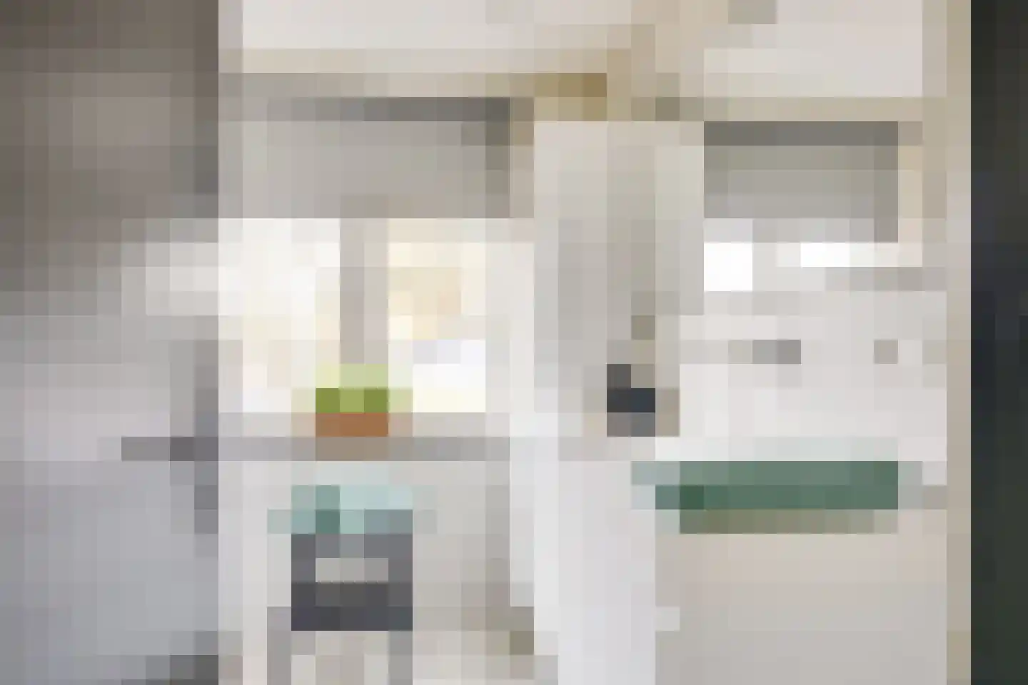 Woestduinlaan 35 Doorn thumbnail 19
