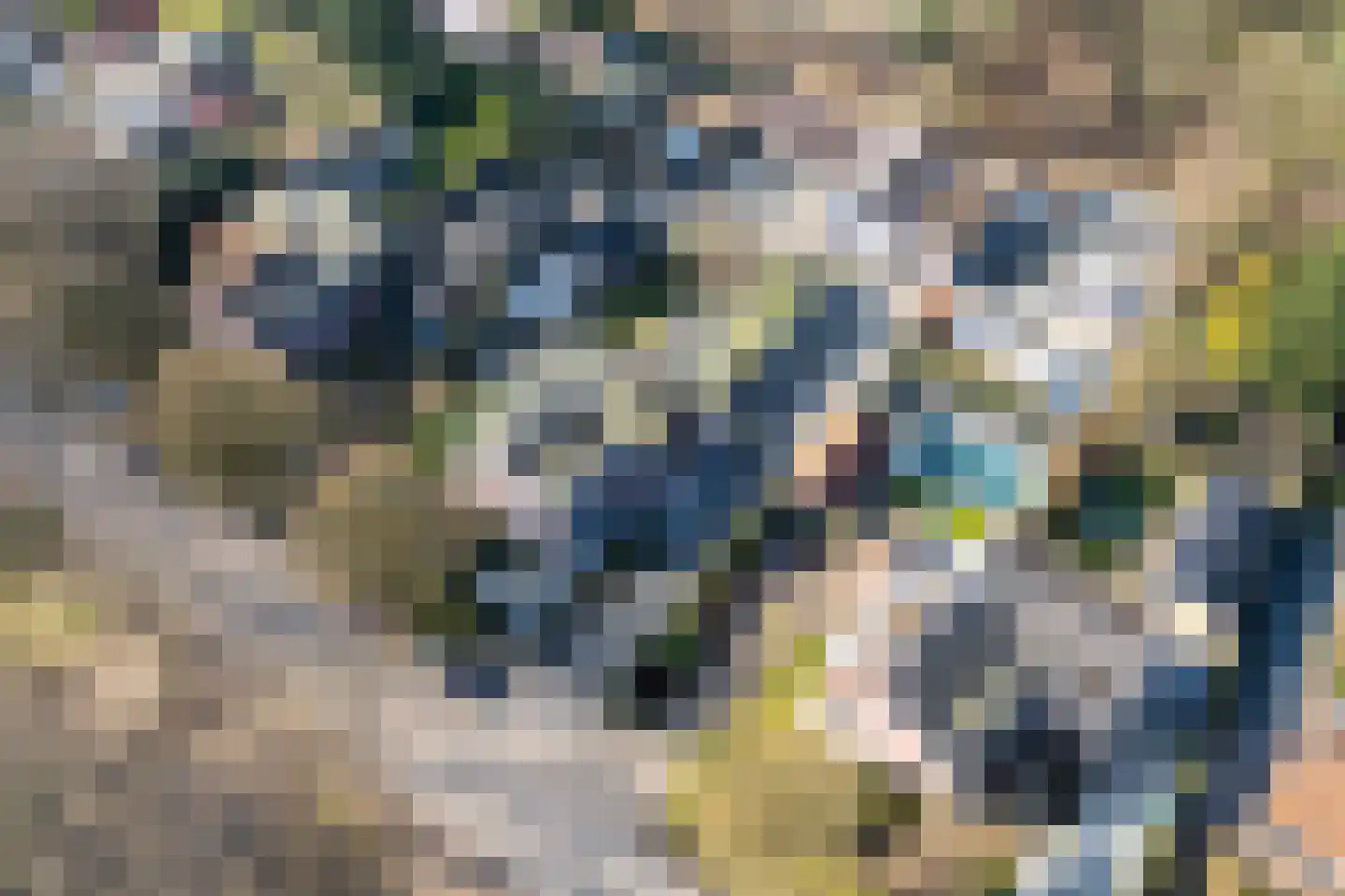 Woestduinlaan 35 Doorn thumbnail 33