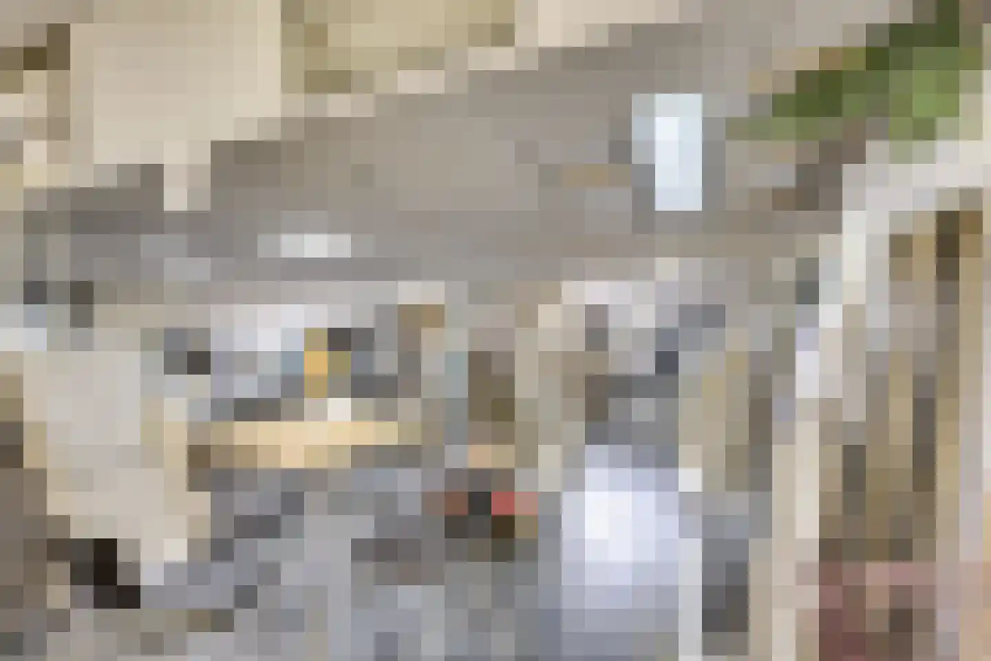 Woestduinlaan 35 Doorn thumbnail 43