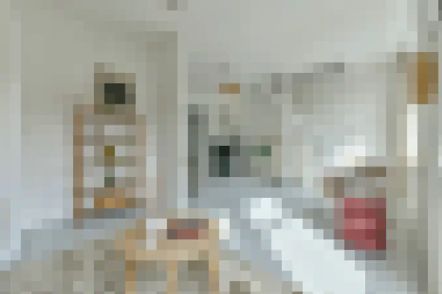 Woestduinstraat 104 2 Amsterdam thumbnail 7