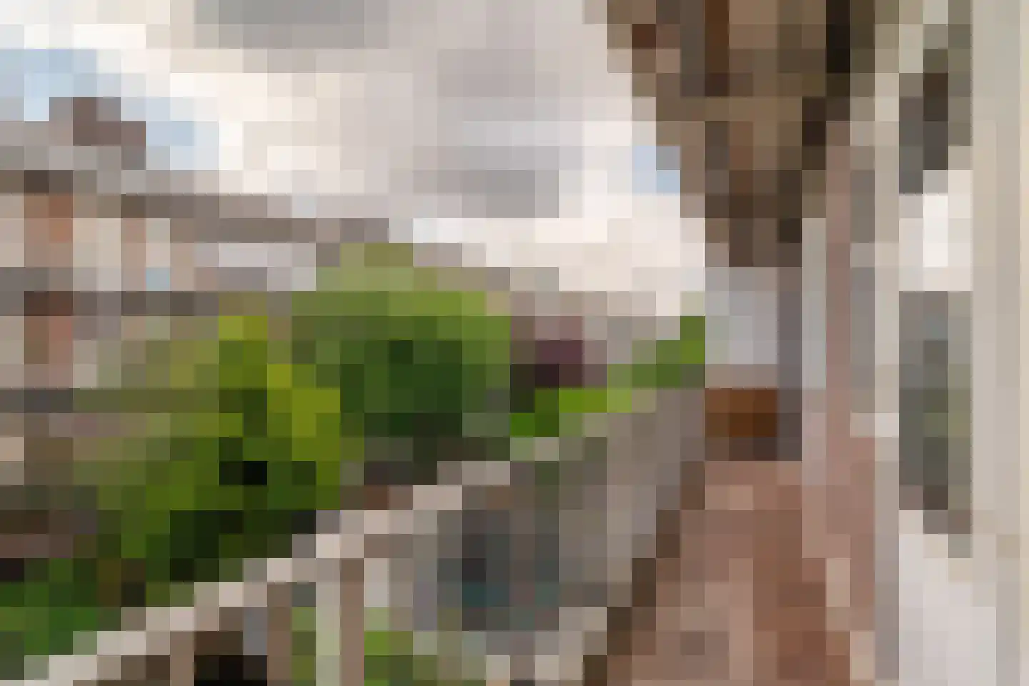 Woestduinstraat 107 H Amsterdam thumbnail 10