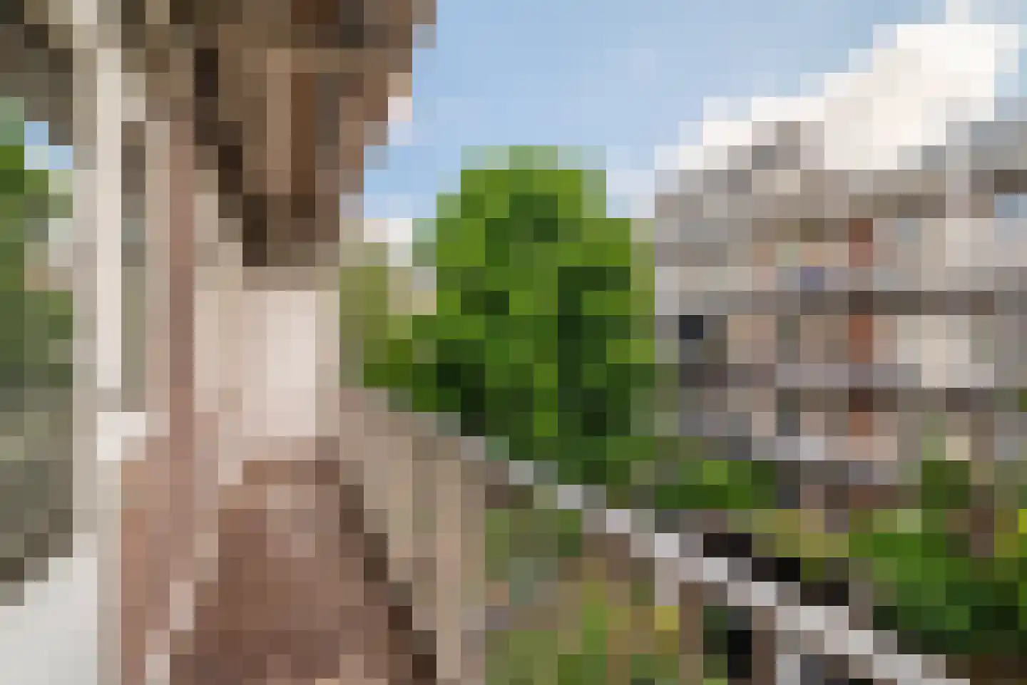 Woestduinstraat 107 H Amsterdam thumbnail 11