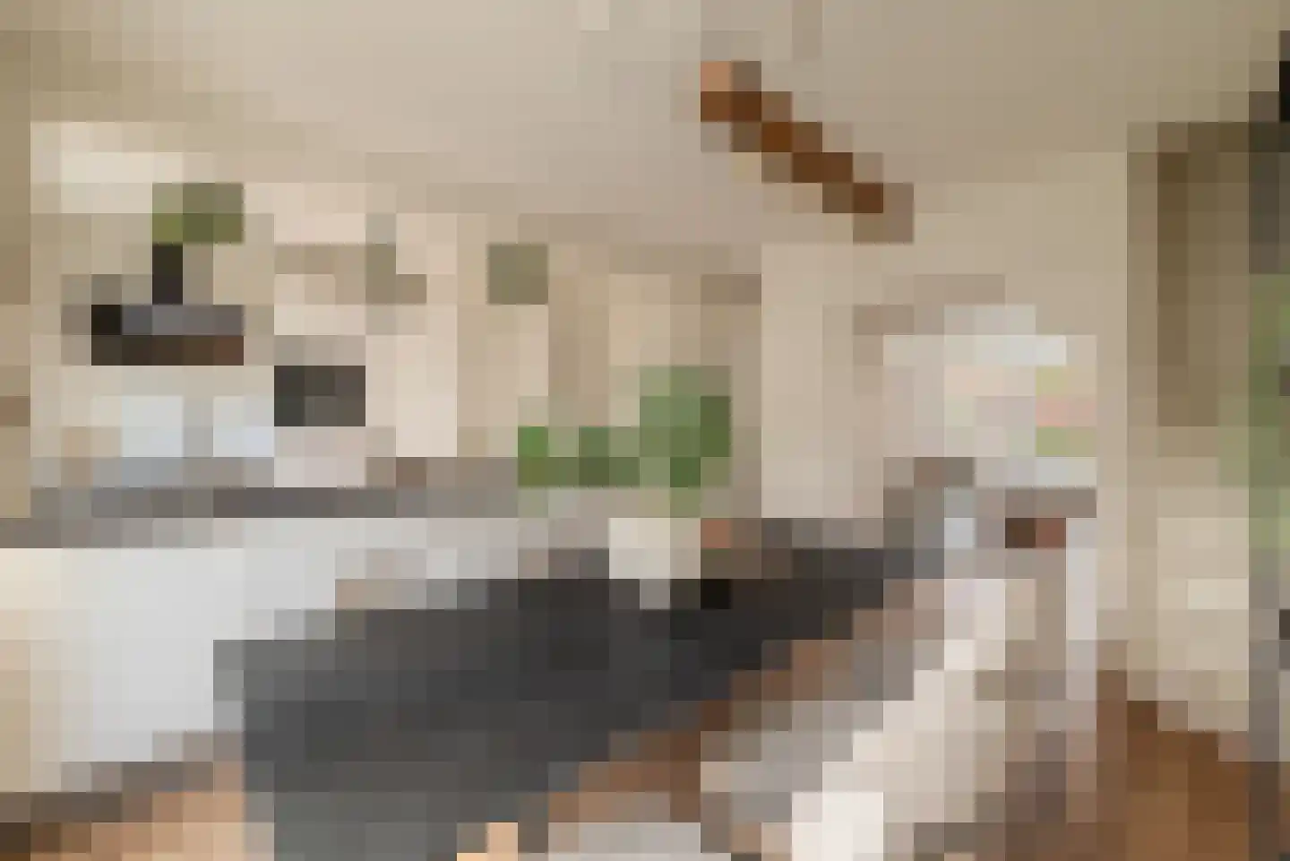 Woestduinstraat 107 H Amsterdam thumbnail 12
