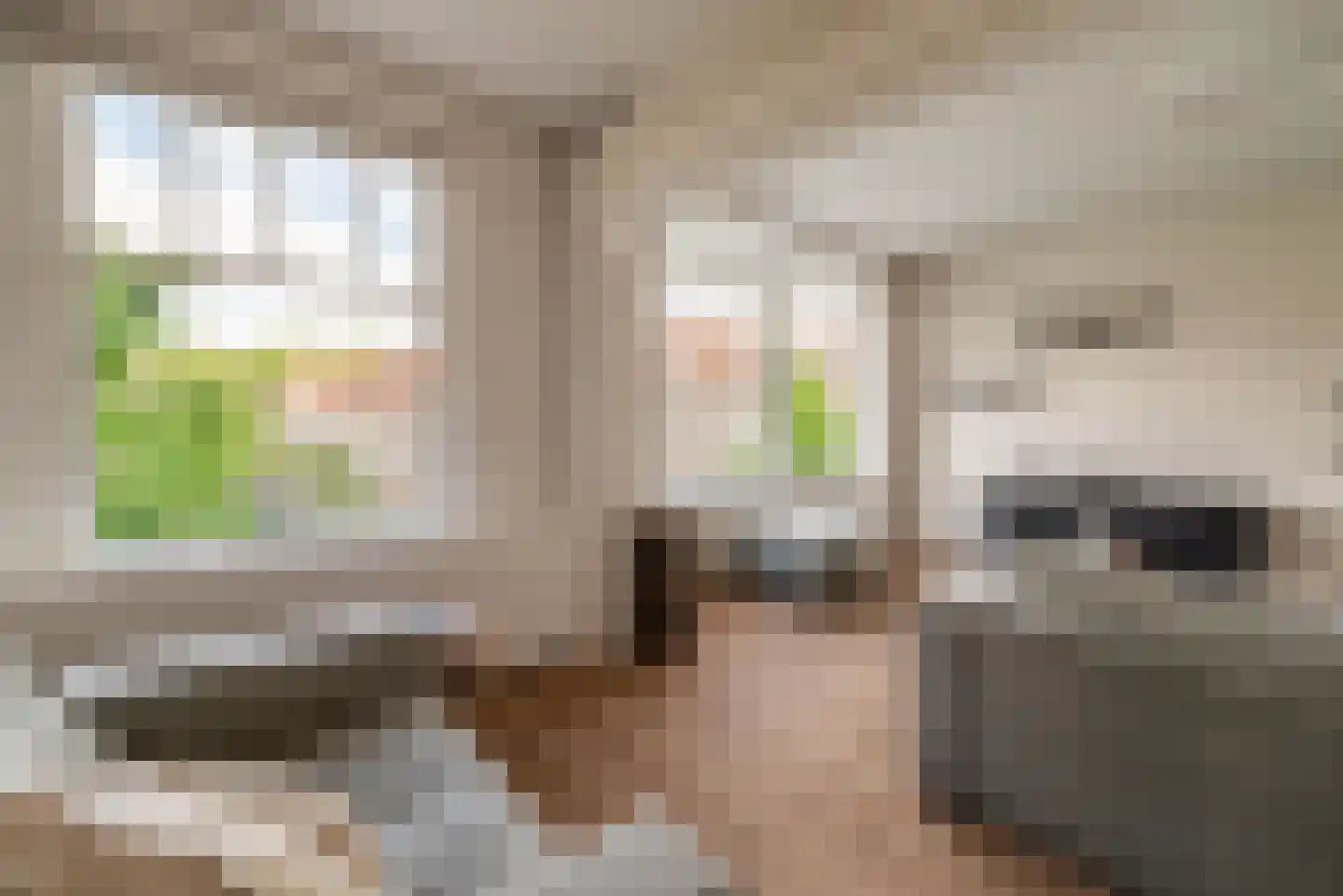 Woestduinstraat 107 H Amsterdam thumbnail 19