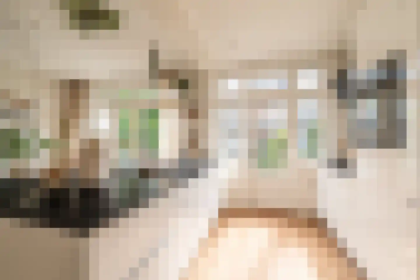 Woestduinstraat 107 H Amsterdam thumbnail 5
