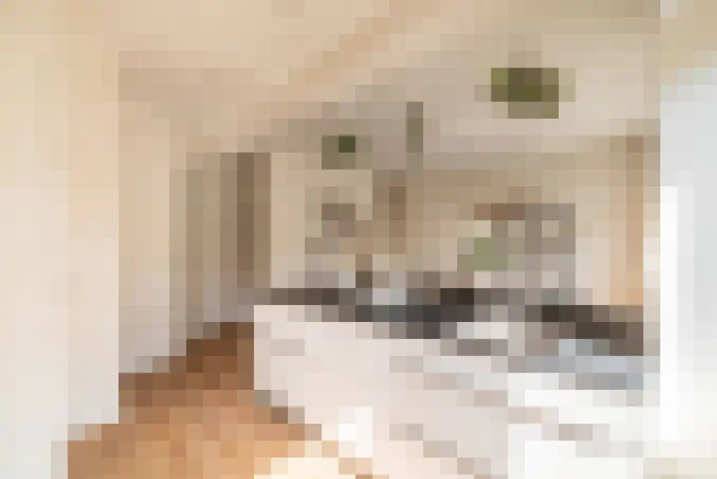 Woestduinstraat 107 H Amsterdam thumbnail 8