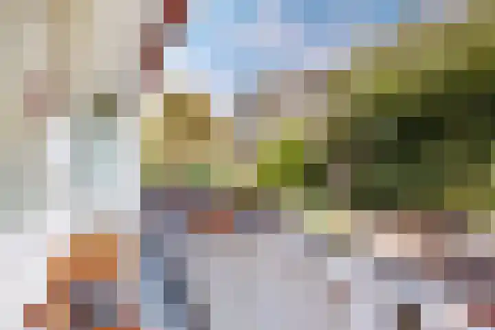 Woestduinstraat 111 2 Amsterdam thumbnail 21