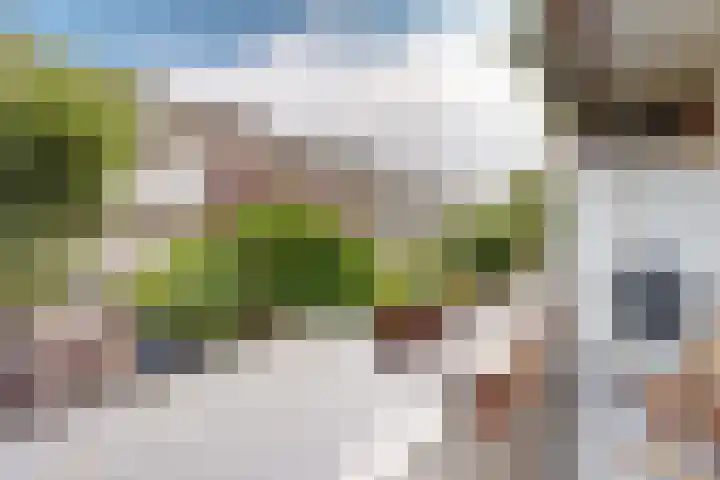 Woestduinstraat 111 2 Amsterdam thumbnail 23
