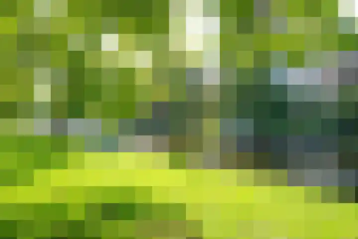 Woestduinstraat 111 2 Amsterdam thumbnail 30