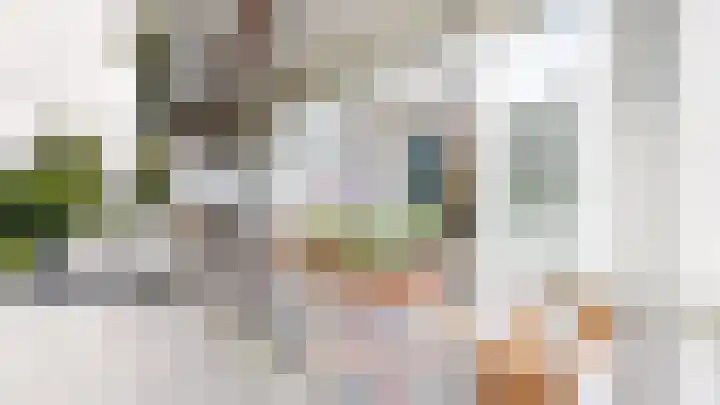 Woestduinstraat 111 2 Amsterdam thumbnail 4