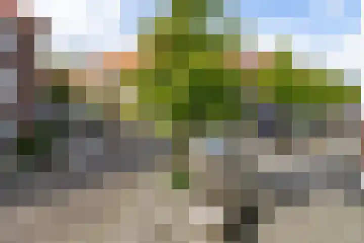 Woestduinstraat 111 2 Amsterdam thumbnail 8