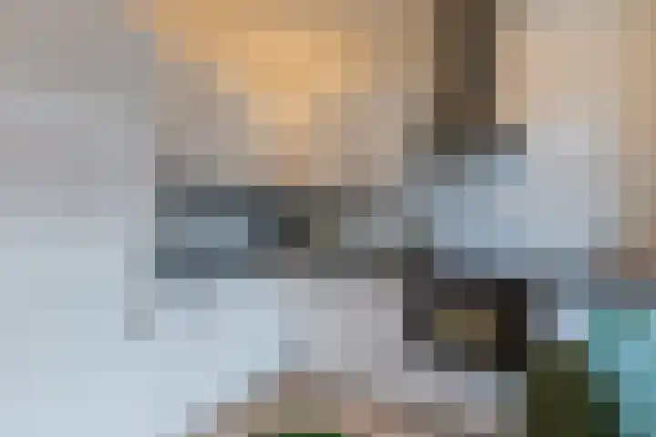 Woestduinstraat 117 1 Amsterdam thumbnail 11