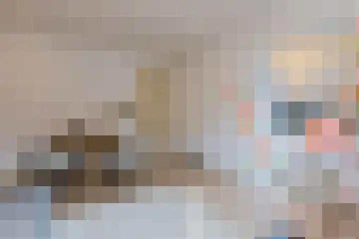 Woestduinstraat 117 1 Amsterdam thumbnail 12