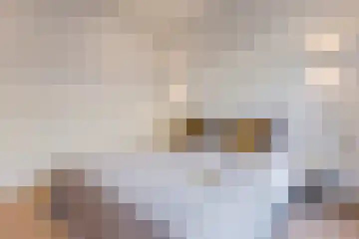 Woestduinstraat 117 1 Amsterdam thumbnail 15