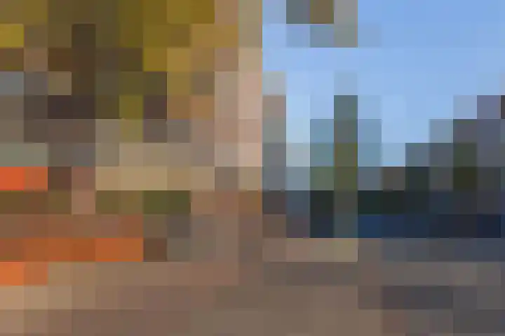 Woestduinstraat 117 1 Amsterdam thumbnail 24