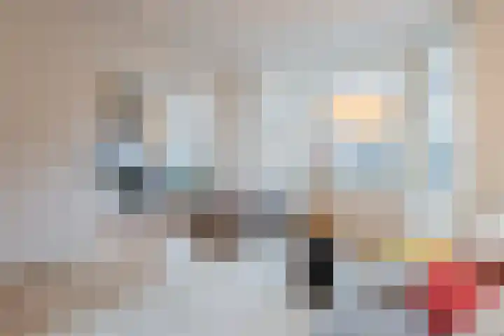 Woestduinstraat 117 1 Amsterdam thumbnail 7
