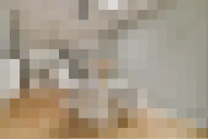 Woestduinstraat 119 1 Amsterdam thumbnail 10