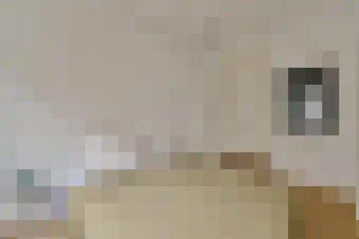 Woestduinstraat 119 1 Amsterdam thumbnail 12