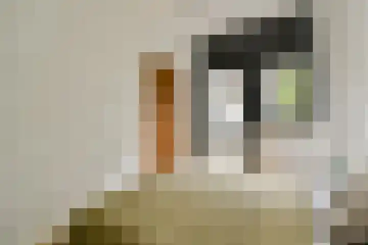 Woestduinstraat 119 1 Amsterdam thumbnail 14