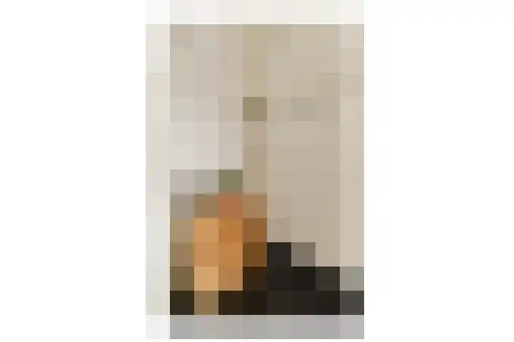 Woestduinstraat 119 1 Amsterdam thumbnail 15