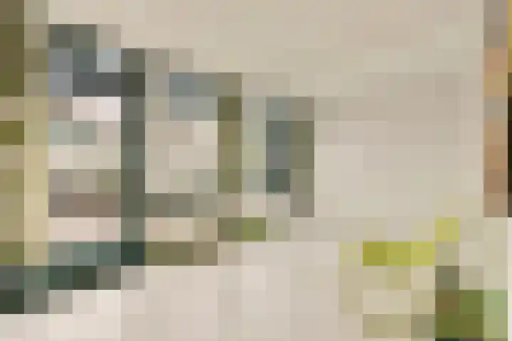 Woestduinstraat 119 1 Amsterdam thumbnail 17
