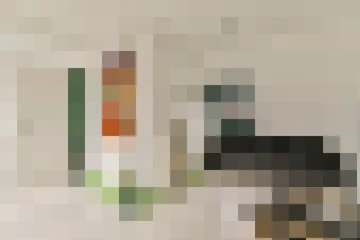 Woestduinstraat 119 1 Amsterdam thumbnail 19