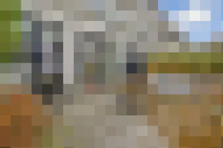 Woestduinstraat 119 1 Amsterdam thumbnail 20