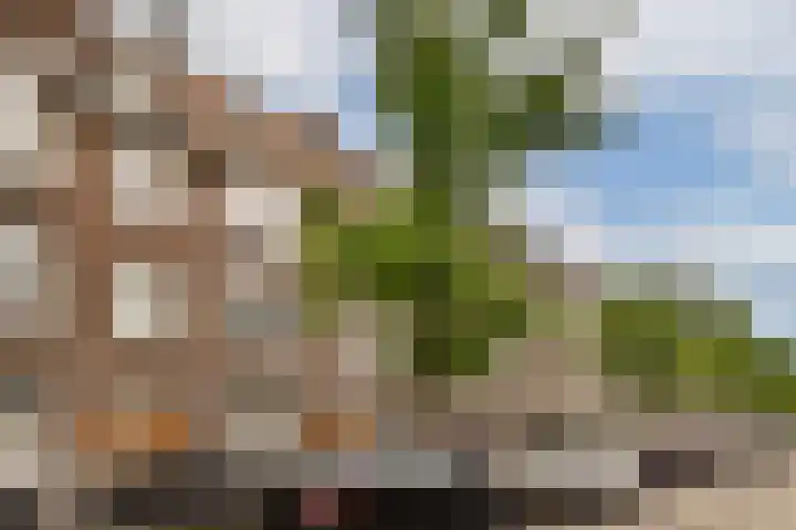 Woestduinstraat 119 1 Amsterdam thumbnail 20